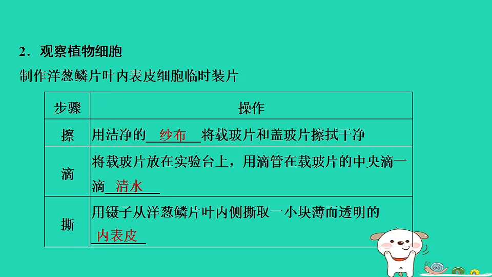 17795211第4页