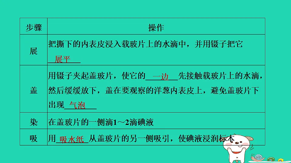 17795211第5页