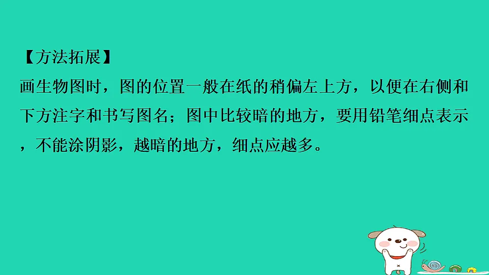 17795211第6页