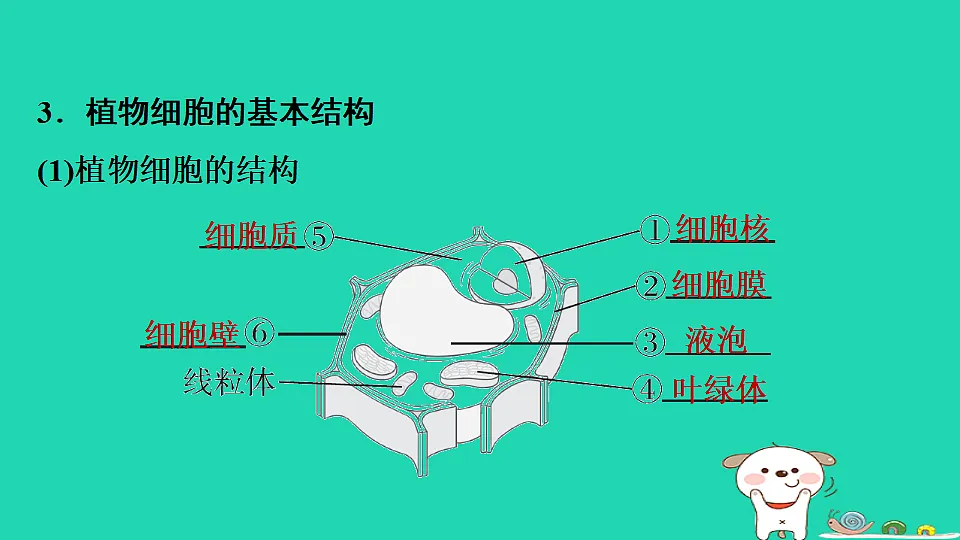 17795211第7页