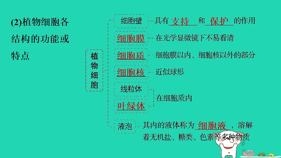 17795211第8页