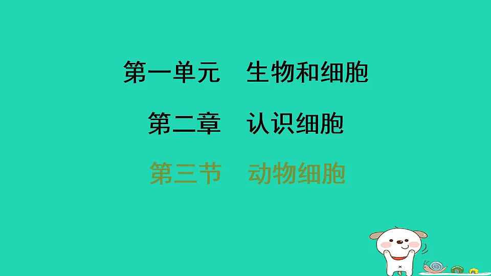 17795212第1页
