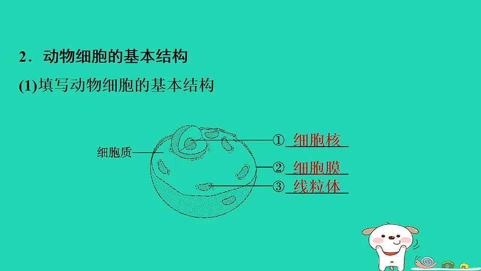 17795212第5页