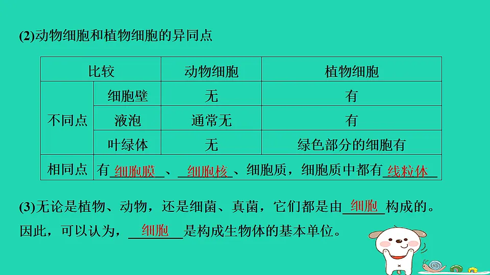17795212第6页