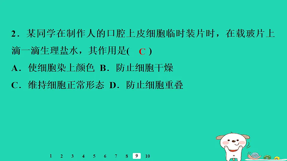 17795212第8页
