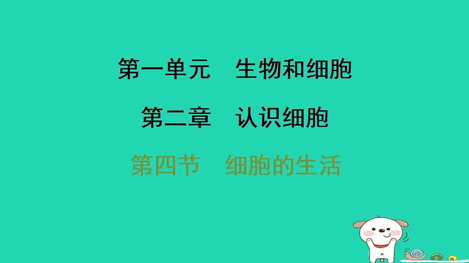 17795213第1页