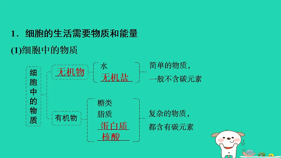 17795213第3页