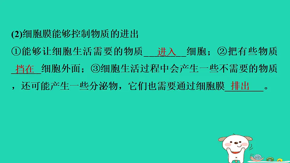 17795213第4页