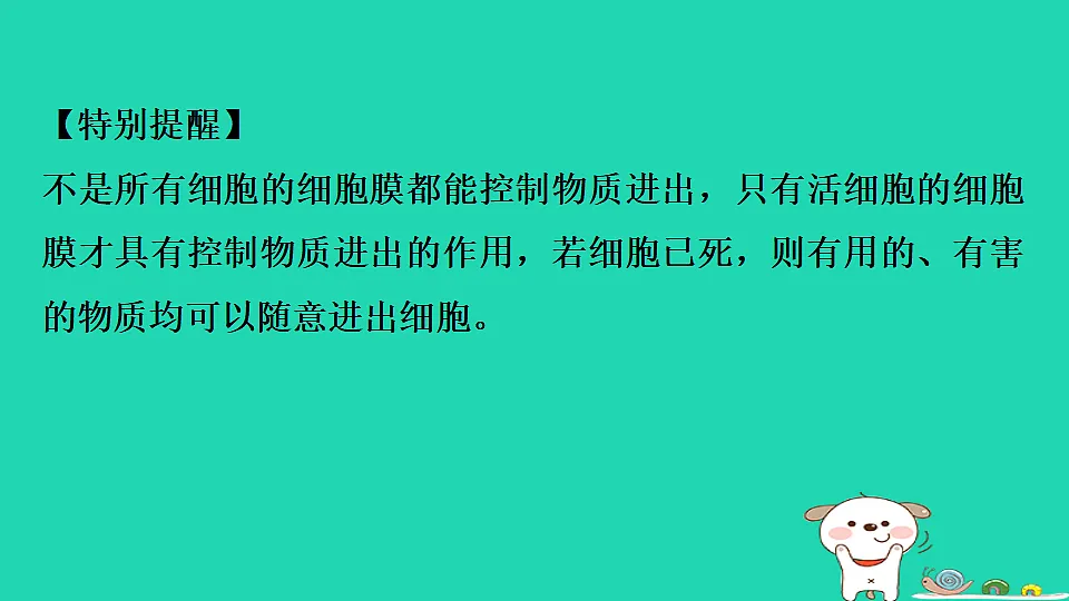 17795213第5页