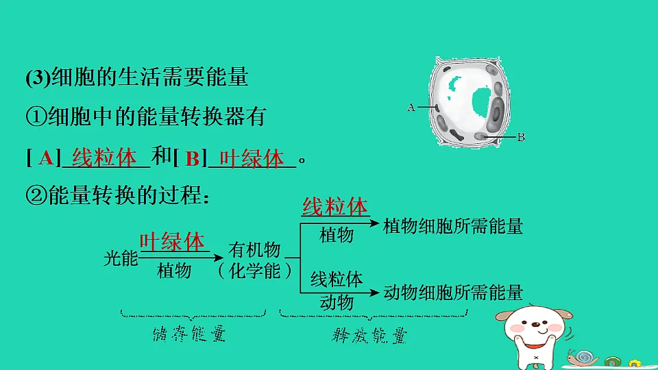 17795213第6页