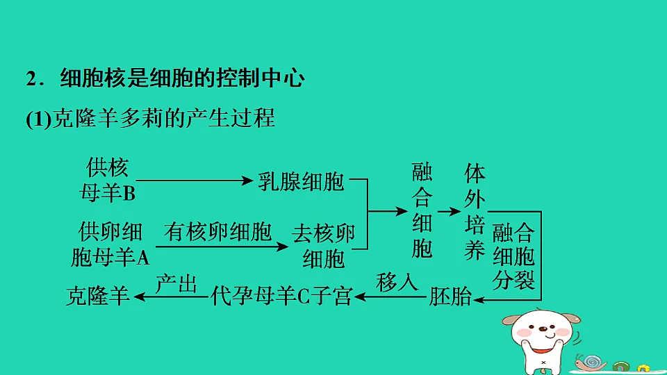 17795213第7页