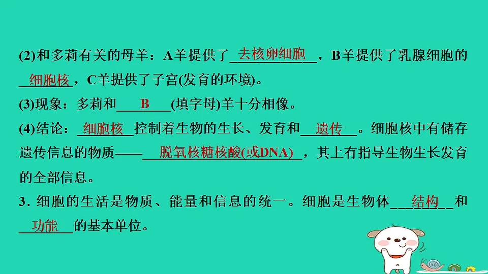 17795213第8页
