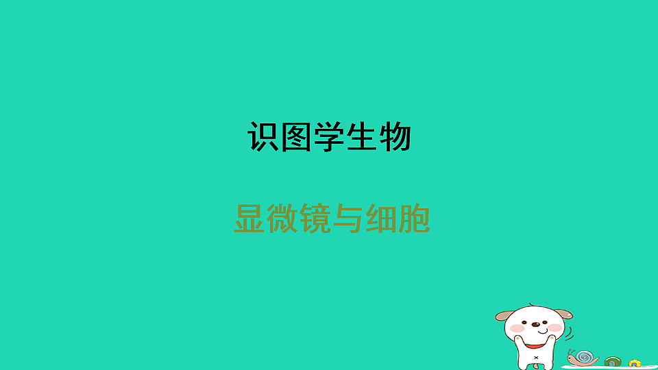 17795214第1页