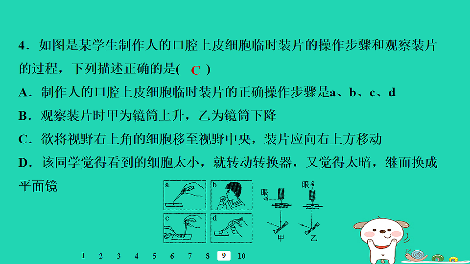 17795214第5页
