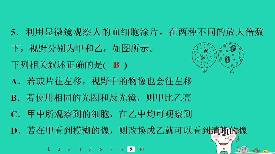 17795214第6页