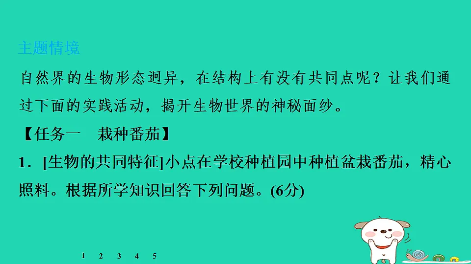 17795215第4页