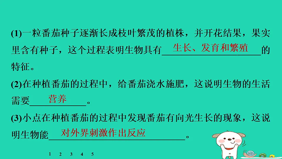 17795215第5页