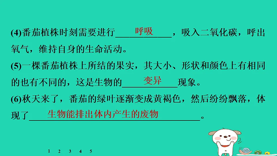 17795215第6页