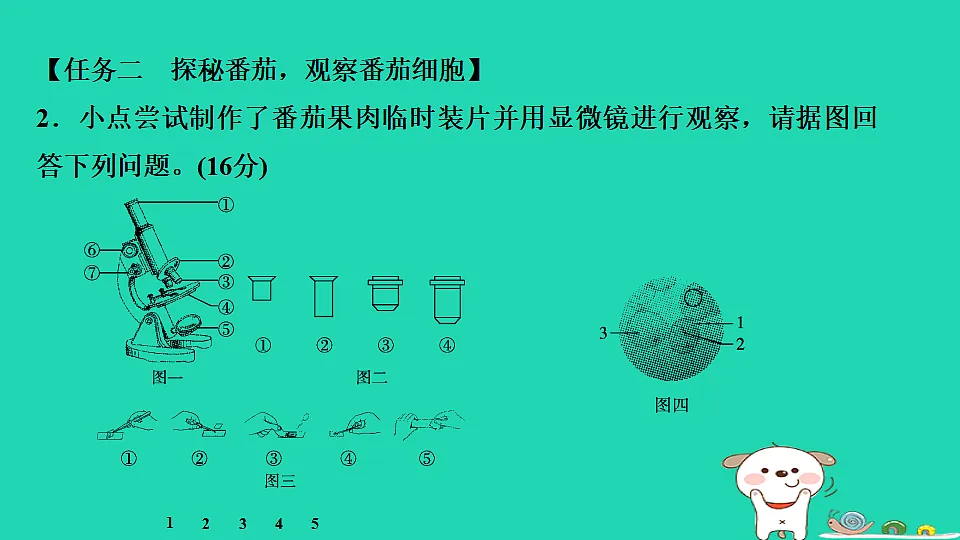 17795215第7页