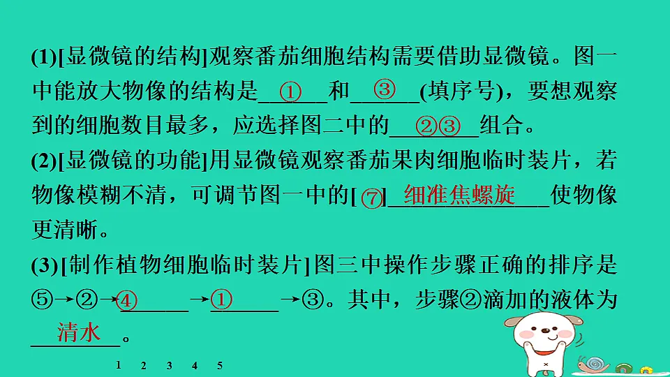 17795215第8页