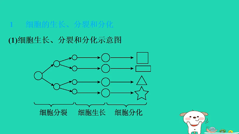 17795216第3页