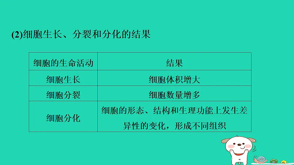 17795216第4页