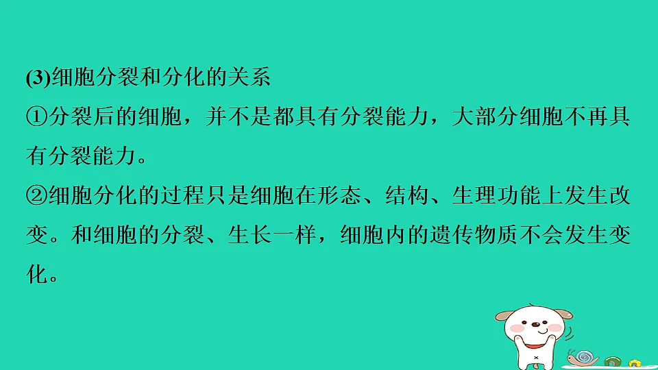 17795216第5页