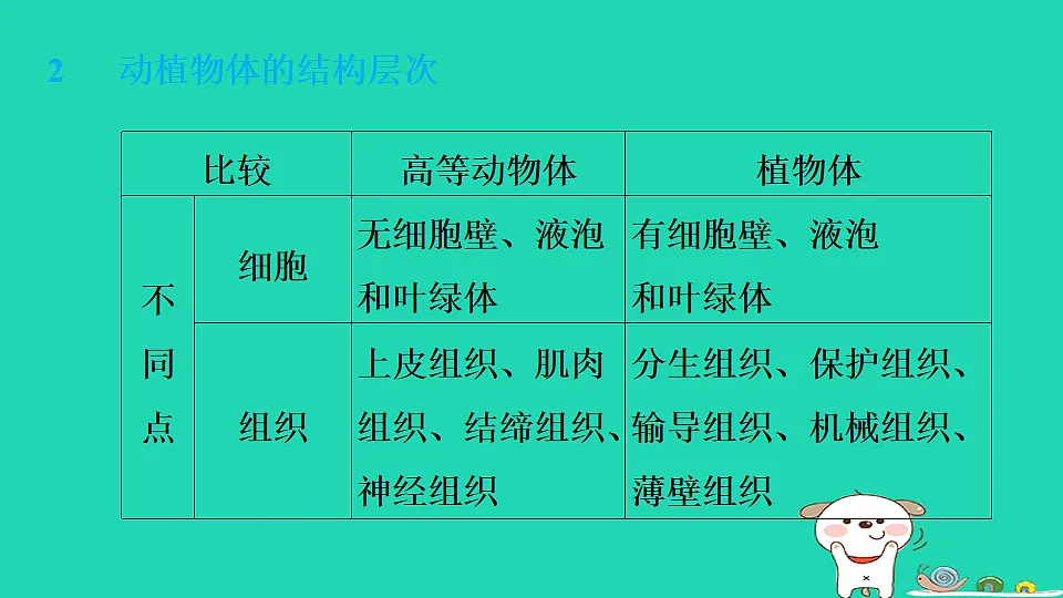 17795216第6页