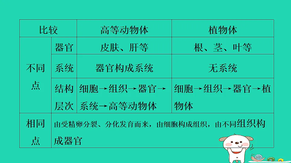 17795216第7页