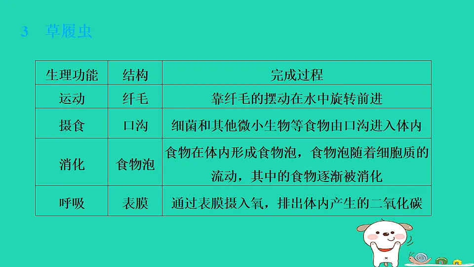 17795216第8页
