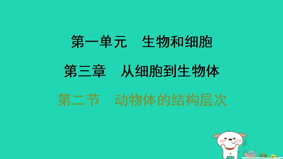 17795217第1页