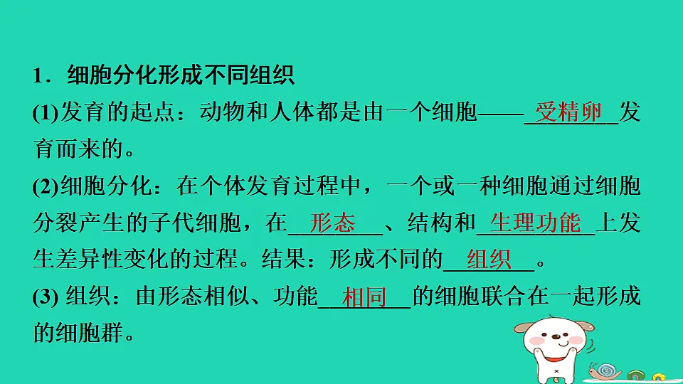 17795217第3页