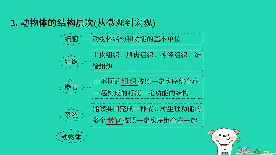 17795217第5页