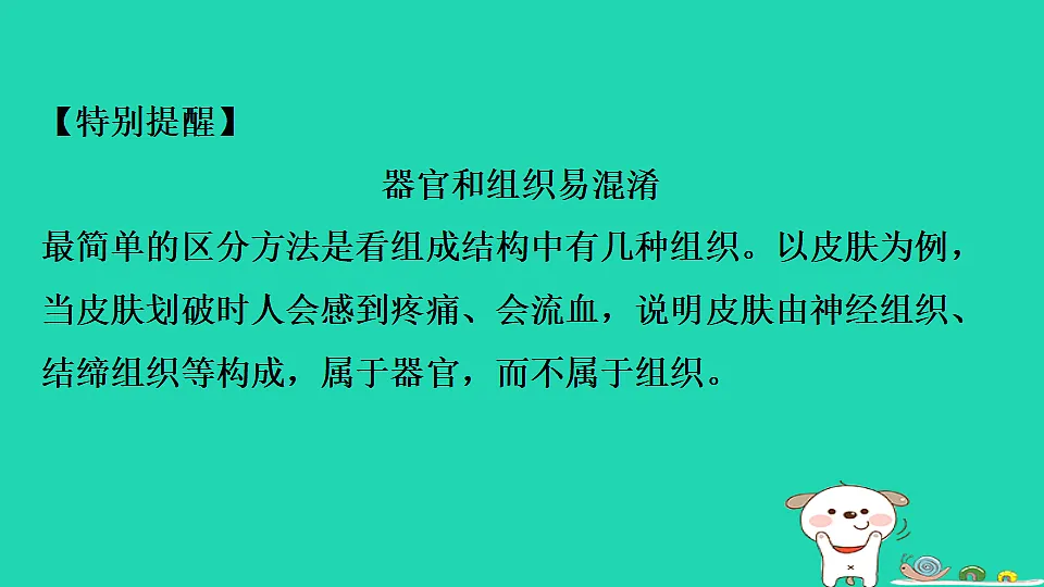 17795217第6页