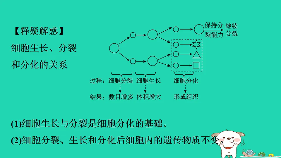 17795217第7页