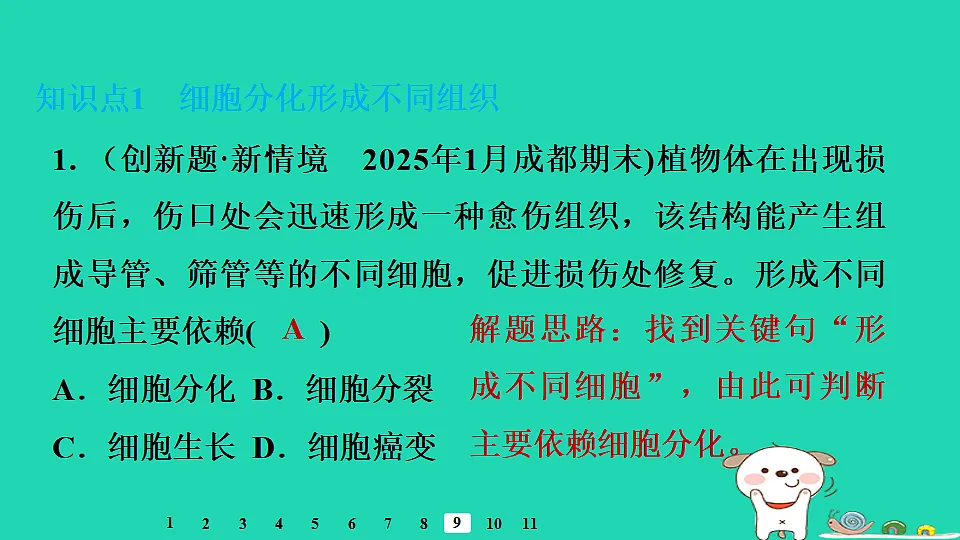 17795217第8页