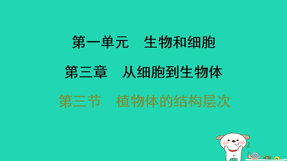 17795218第1页