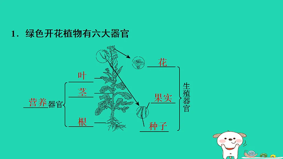 17795218第3页