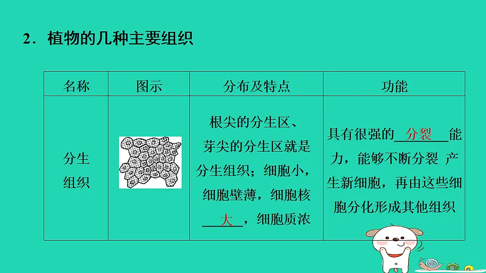 17795218第4页