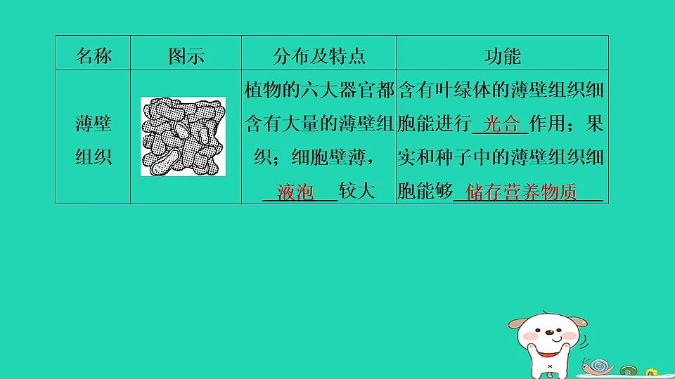 17795218第5页