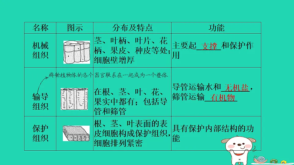 17795218第6页