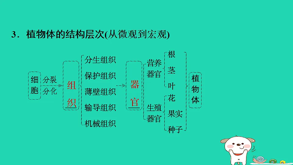 17795218第7页