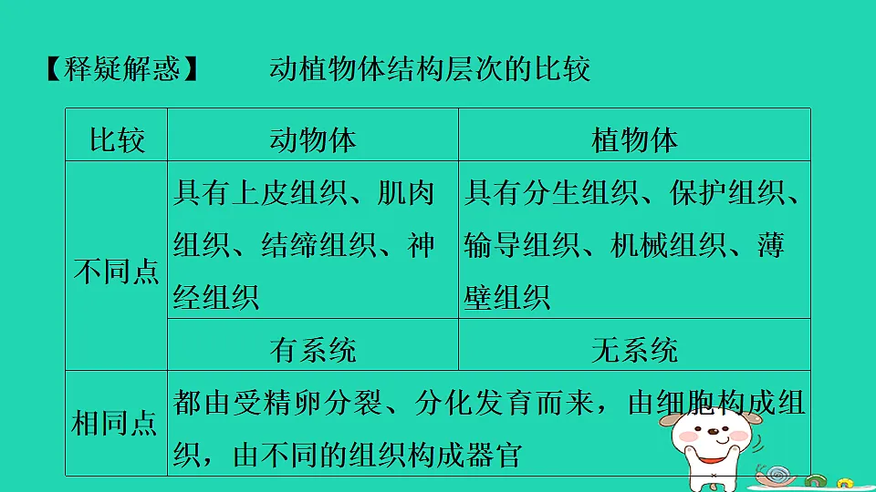 17795218第8页