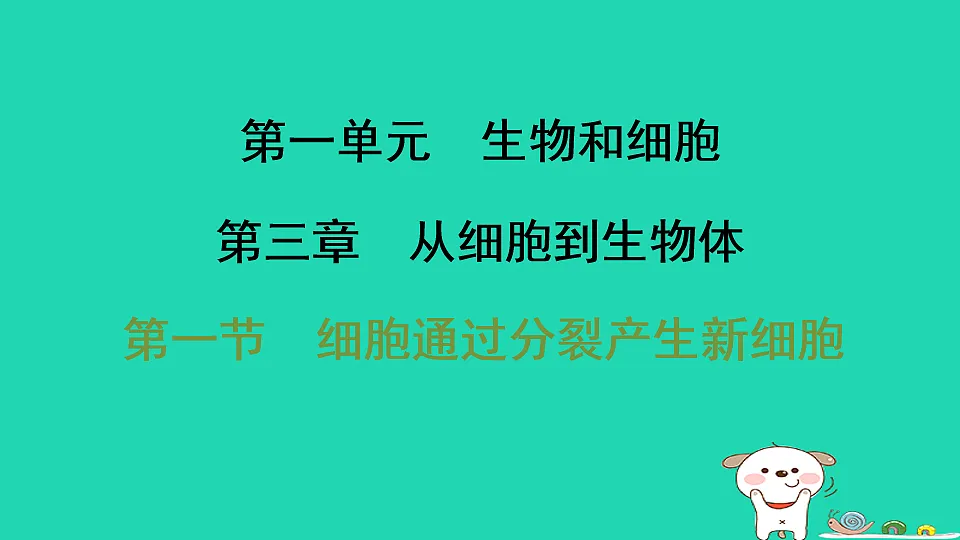 17795221第1页