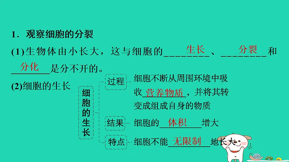 17795221第3页