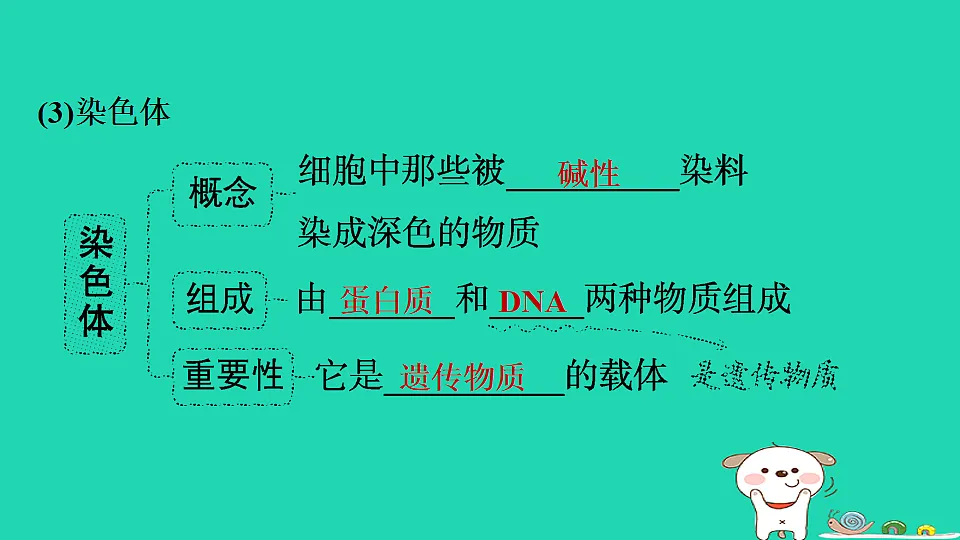 17795221第4页
