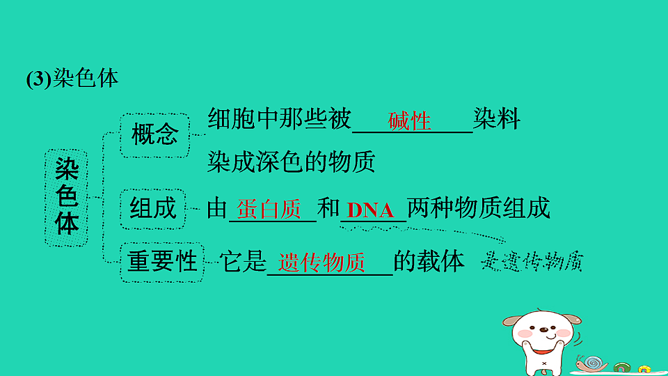 17795221第4页