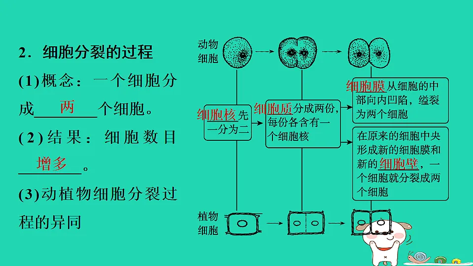 17795221第5页