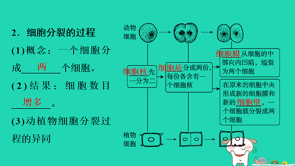 17795221第5页