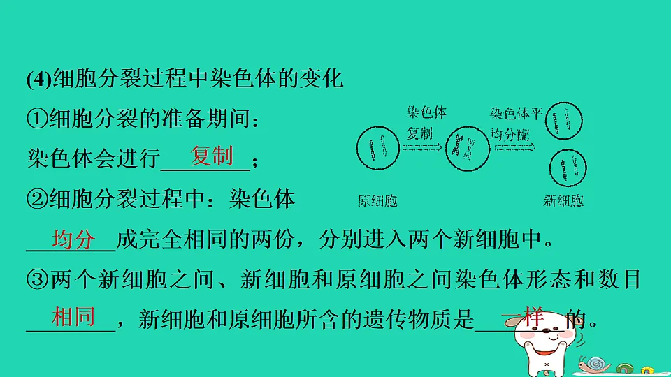 17795221第6页